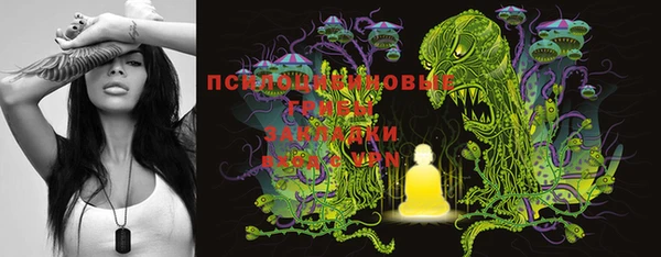 PSILOCYBIN Алзамай