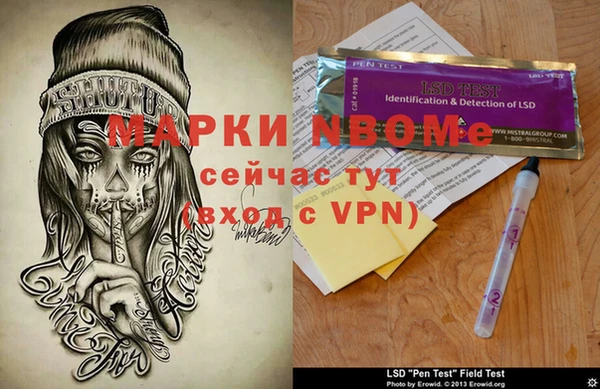 PSILOCYBIN Алзамай