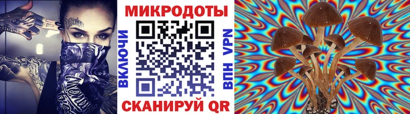 Псилоцибиновые грибы ЛСД  Усть-Илимск 